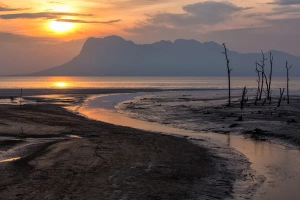 Çamurlu bir sahilde günbatımı — Stok fotoğraf