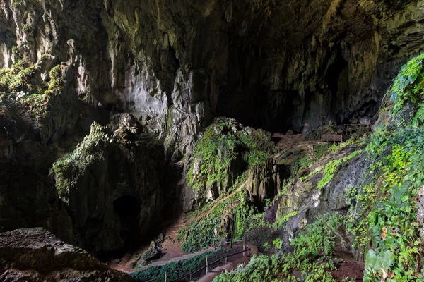 Mycket stor grotta — Stockfoto