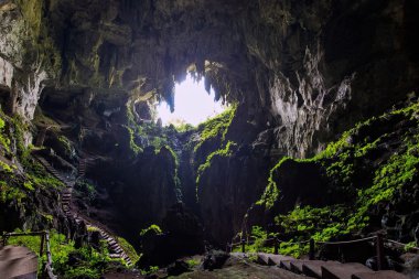 Çok büyük tropikal mağara