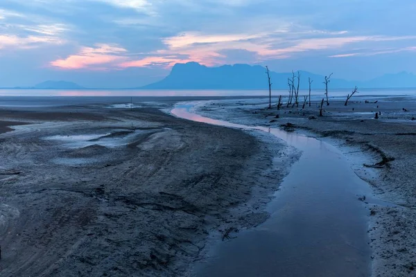 Sunset on a muddy beach — Stock Photo, Image