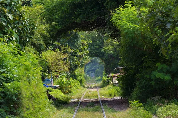 Ferrocarril en túnel verde —  Fotos de Stock