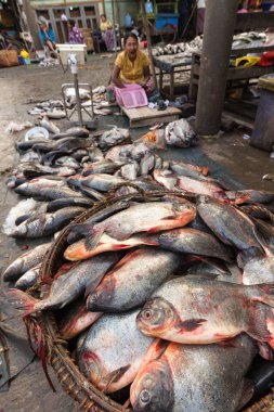 Balık satıcı Myanmar