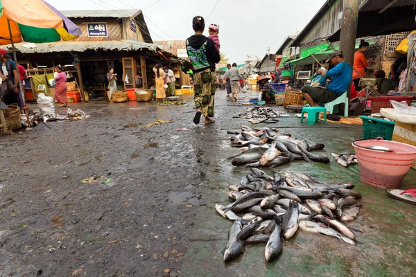 Sprzedawca ryb w Myanmar — Zdjęcie stockowe