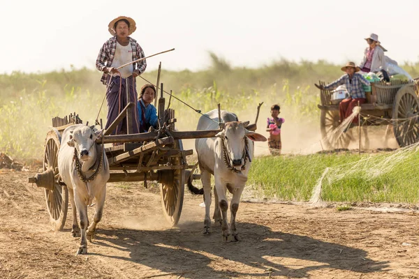 Birmani alla guida del carro — Foto Stock