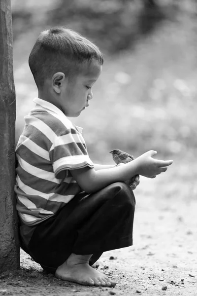 Le garçon et le petit oiseau — Photo