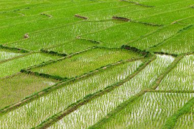 Teras alanında Bayındırlık