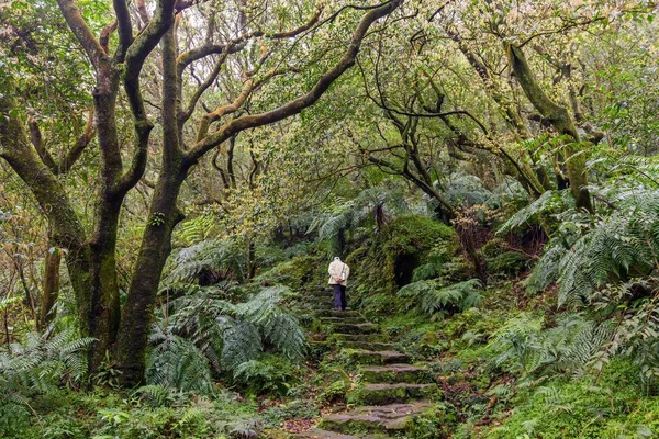 Mannen trekking i gröna suntropical skog — Stockfoto