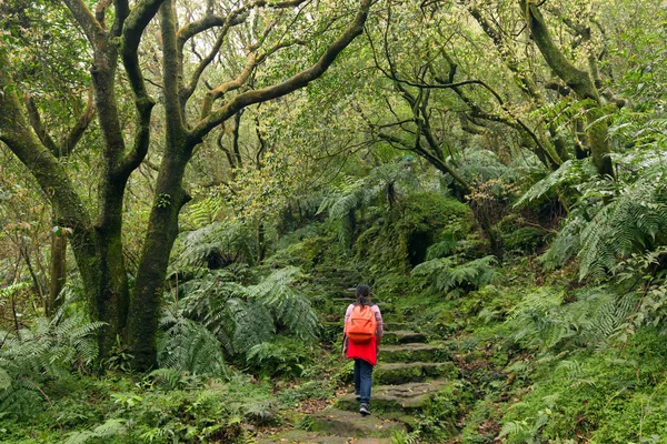 Kvinna vandring i gröna suntropical skog — Stockfoto