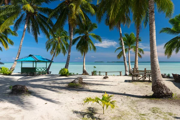 Paradise öde tropisk strand i Indonesien — Stockfoto