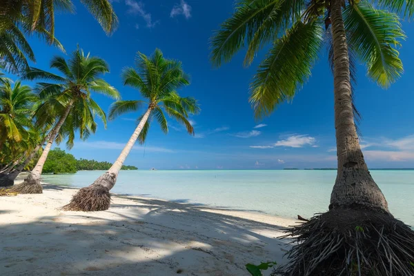 Paradies einsamer tropischer Strand in Indonesien — Stockfoto
