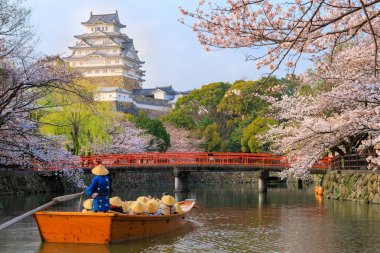 Japon doğal manzara, Himeji Kalesi .