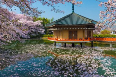 Japon Shinto Tapınağı'nda bahar