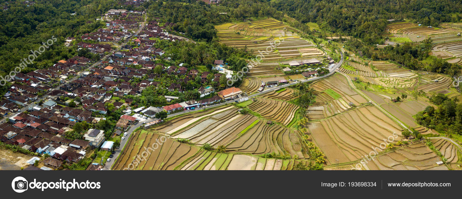 Prise de vue  a rienne Bali  rizi res  Photographie 