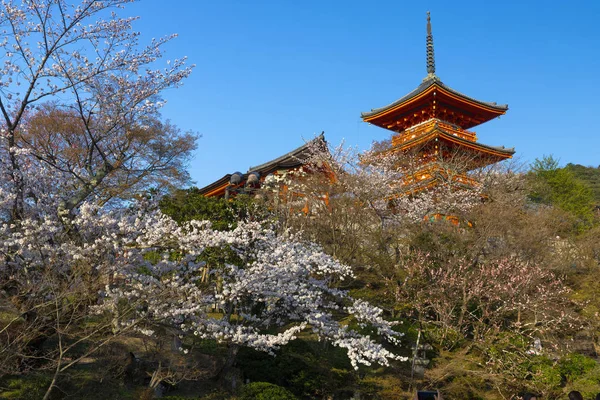 Tramonto al tempio di Kiyomizu Dera — Foto Stock