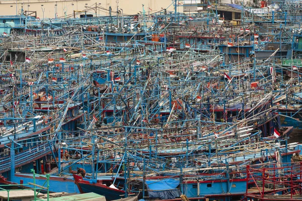 Barco de pesca de lulas no porto — Fotografia de Stock