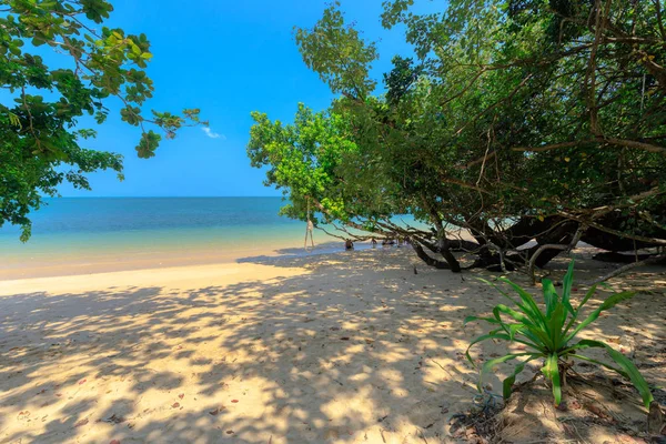 Thajská tropická pláž — Stock fotografie
