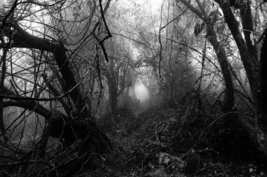 Karanlık ve kasvetli doğal tünel