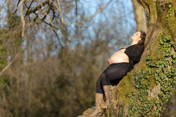 Беременная женщина прислонилась к дереву — стоковое фото