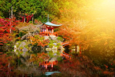 Daigoji Tapınağı Kyoto sonbahar yaprakları ile