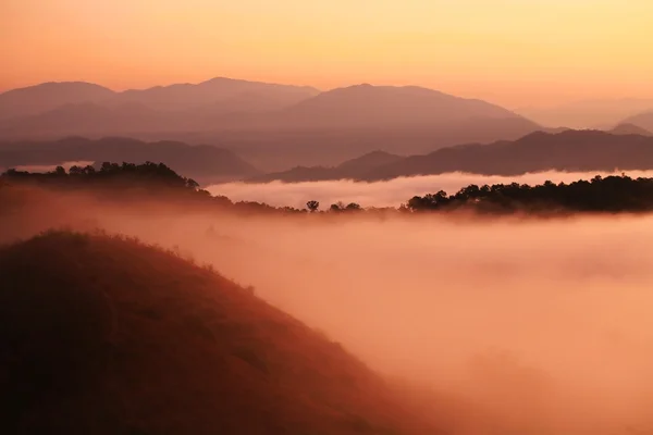 Morning mist at twilight, Tak, Thailannd — Stock Photo, Image