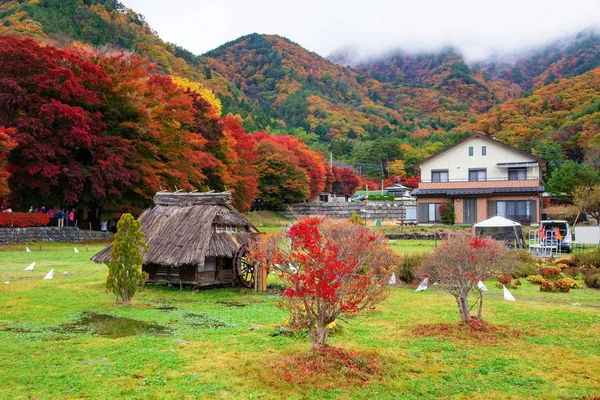 Herbstfarben am Momiji-Tunnel, kawaguchiko — Stockfoto