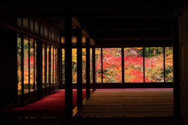 Sonbahar foliages görüntülemek Tenju-an üzerinden Kyoto