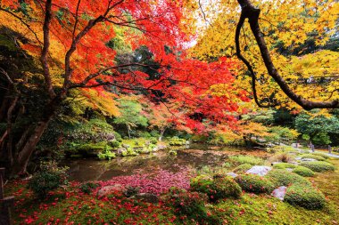 Nanzen-ji Tapınağı, Kyoto sonbahar Bahçe