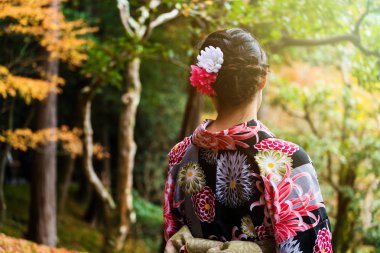 Japon kimono kız zevk sonbahar renk günbatımında