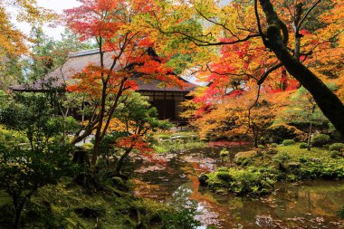 Nanzen-ji Bahçe sonbahar, Kyoto