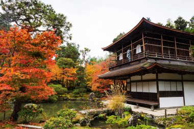 Ginkakuji Tapınağı'nda sonbahar, Kyoto