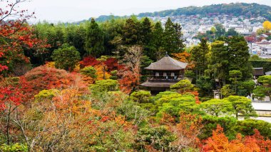 Ginkakuji üstten görünüm sonbahar 