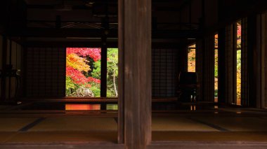 Nanzen-ji iç ile sonbahar renkleri, Kyoto