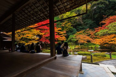İnsanlar Nanzen-ji Tapınağı, Kyoto sonbahar bahçe keyfini