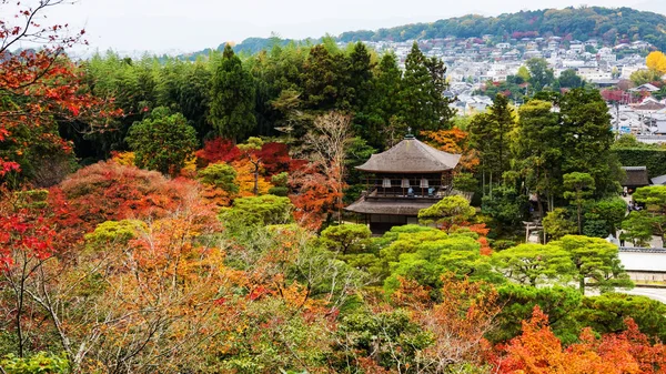 Vista superior de Ginkakuji en otoño — Foto de Stock