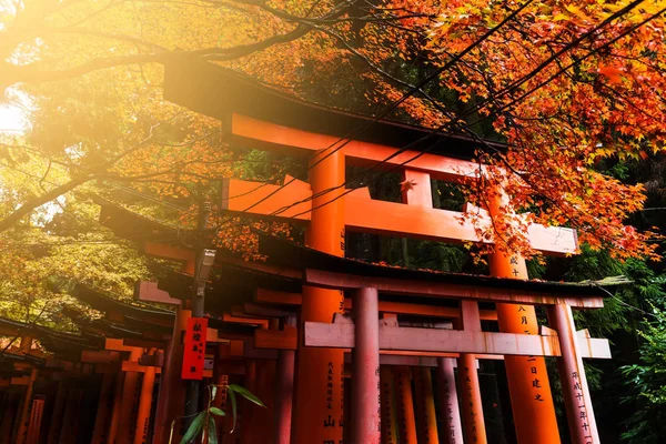 Santuário Fushimi Inari em Autumm, Kyoto — Fotografia de Stock