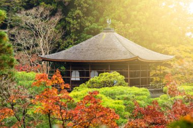 Ginkakuji ile sonbahar yaprakları göre en iyi görünümü, Kyoto