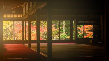 Tenju-bir sonbahar, Kyoto tapınakta