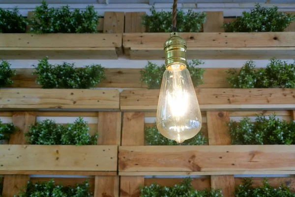 Žárovka a zelených rostlin interiér — Stock fotografie