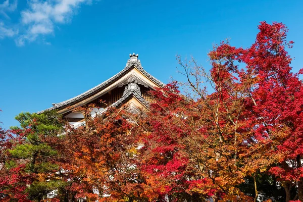 Eikando Tapınağı çatı sonbahar yaprakları karşı