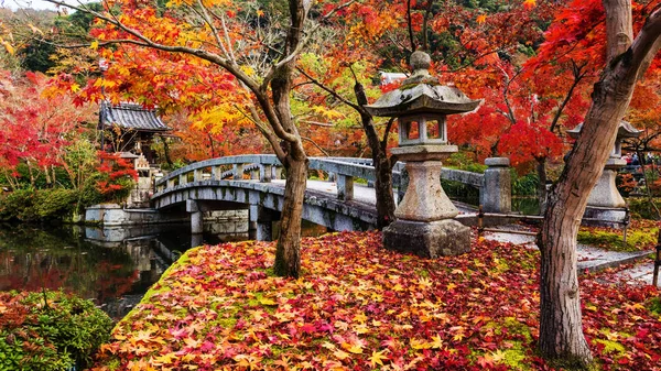 Follaje de otoño en el templo de Eikando, Kioto — Foto de Stock