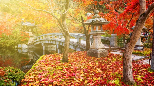 Follaje de otoño al atardecer en Eikando, Kyoto — Foto de Stock