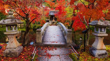 Eikando sonbahar, Kyoto