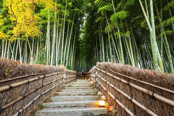 Caminho da floresta de bambu Arashiyama, Kyoto — Fotografia de Stock