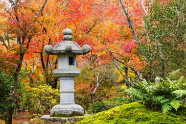 tenryu-ji Tapınağı, Arashiyama sonbahar Bahçe