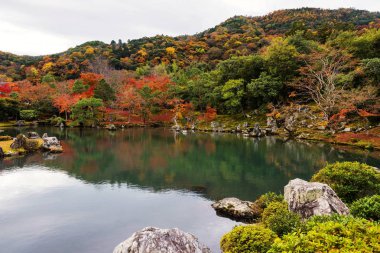 Tenryu-ji, Arashiyama sonbahar yaprakları 