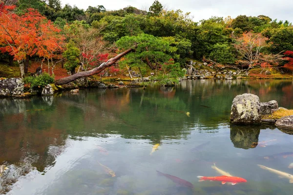 秋、嵐山の天龍寺 — ストック写真