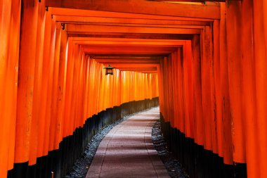 Fushimi Inari, Kyoto Tori kapısı