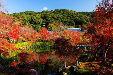 Eikando sonbahar yaprakları, Kyoto