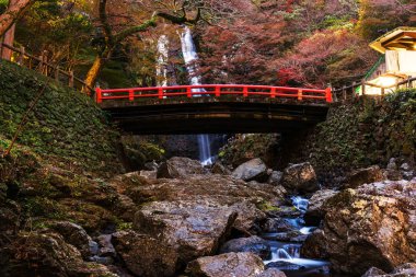 Minoo şelale sonbahar, Osaka