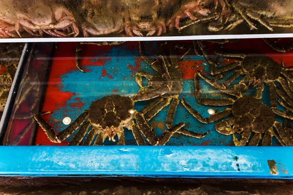 King crabs at Hakodate market — Stock Photo, Image